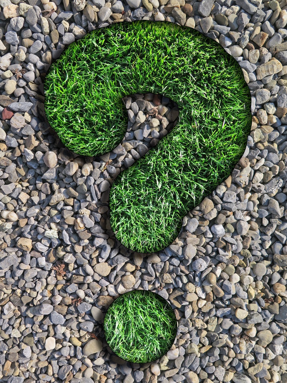 Question mark made of grass